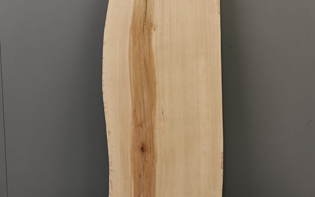 Beech wood