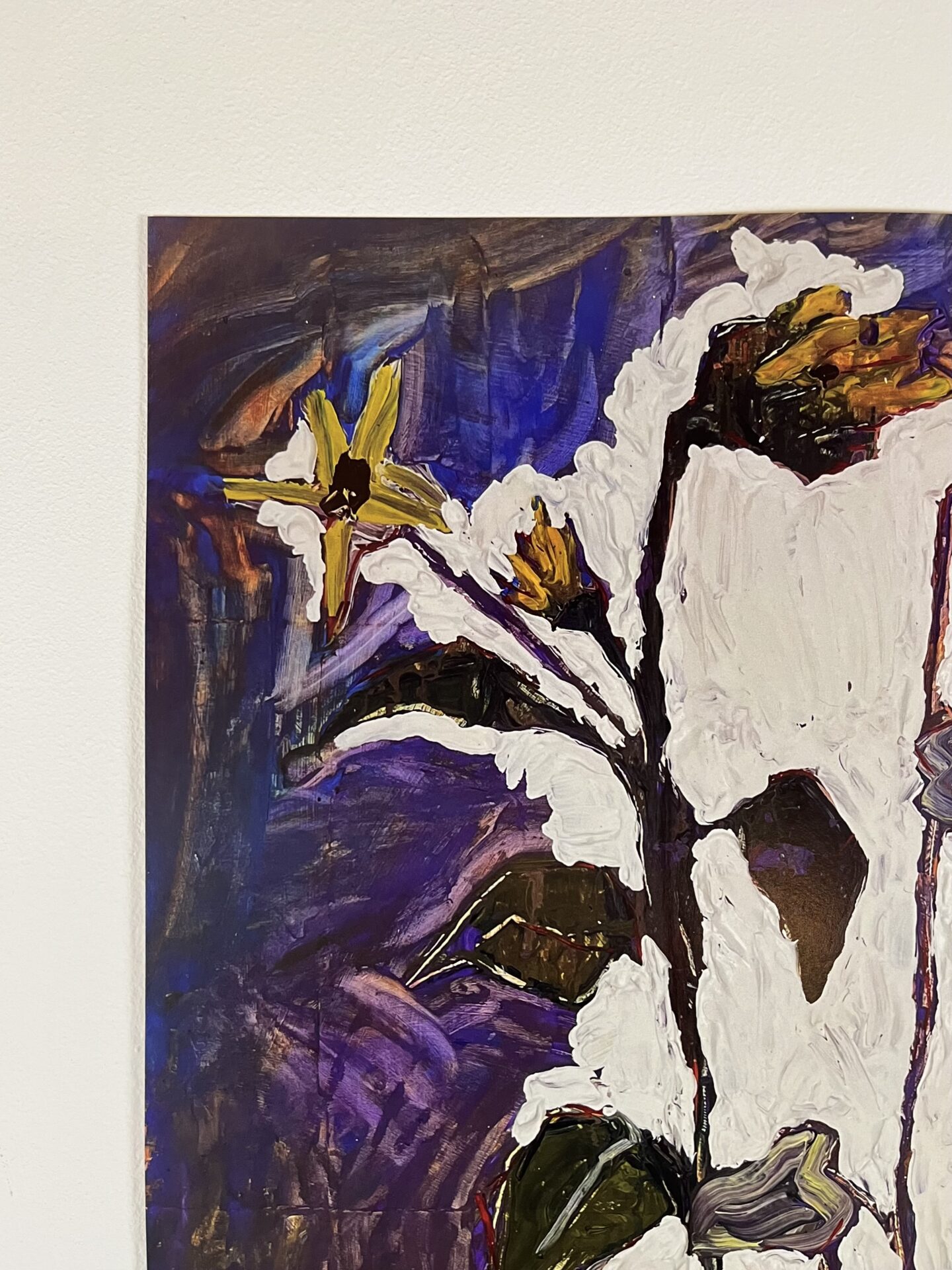 ''Slunečnice'' (novinka) - Obrázek 4